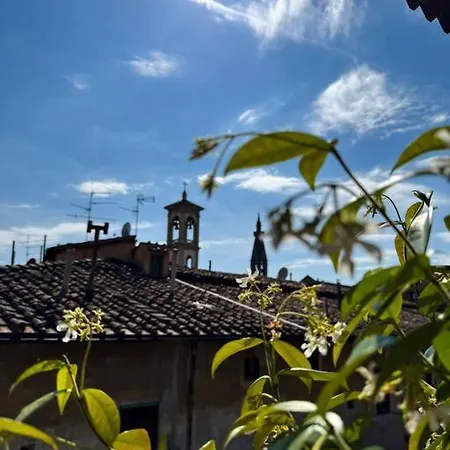 Green Rooftop Terrace Historical Center Apartament