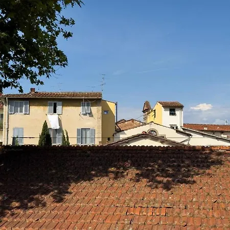 Green Rooftop Terrace Historical Center *