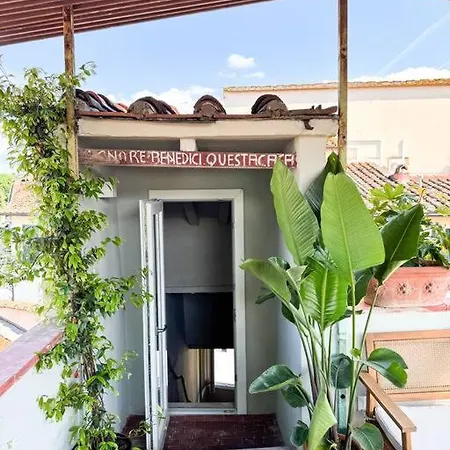 Green Rooftop Terrace Historical Center フィレンツェ